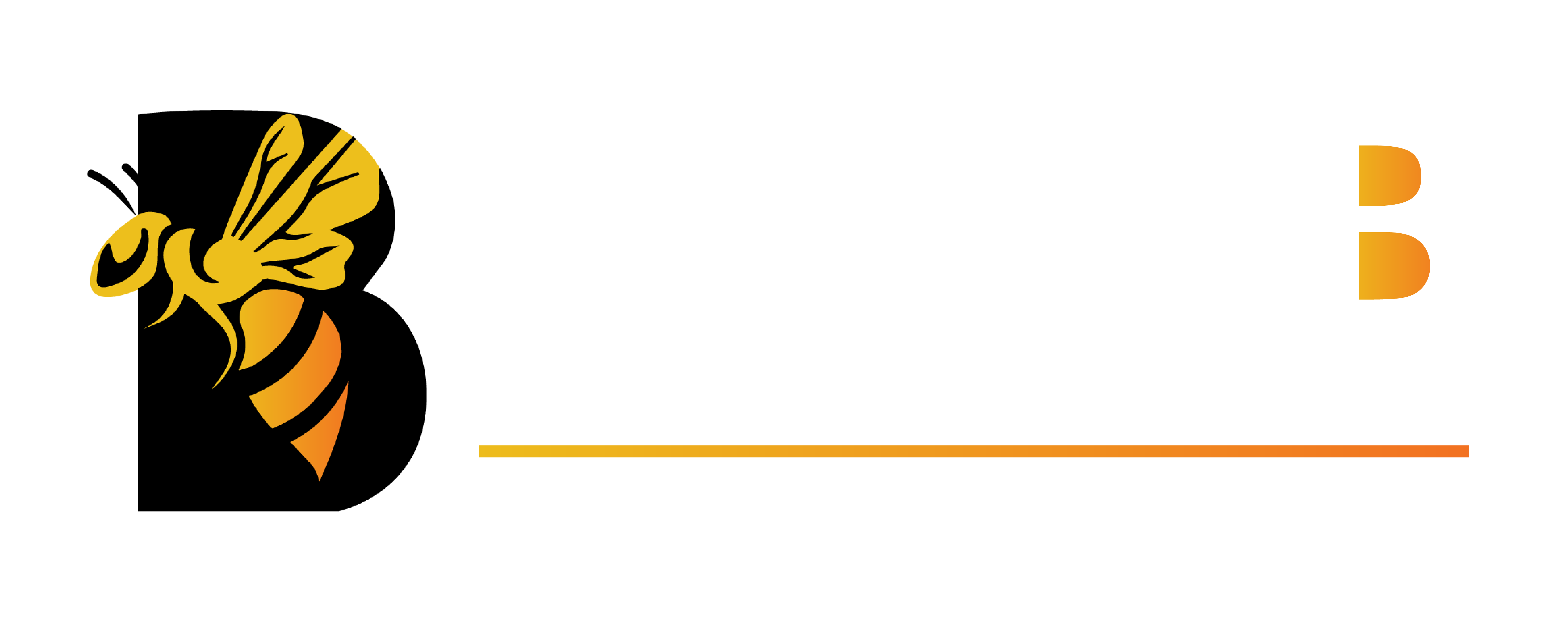 Plan B Solutions (PVT) LTD